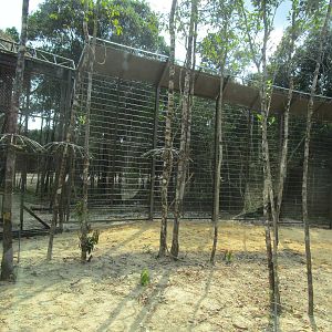 Vinpearl Safari - Tiger Reserve Fencing