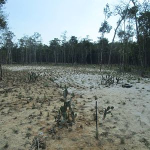 Vinpearl Safari - Lion Reserve