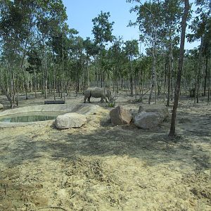 Vinpearl Safari - White Rhino Reserve