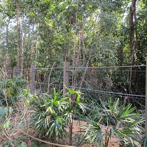 Vinpearl Safari - Elephant Enclosure