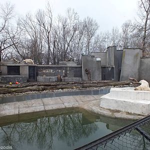 Polar Bear Enclosure