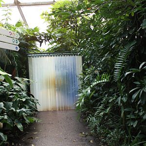 Fenced-off area in Burgers Bush