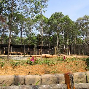 Vinpearl Safari - Indochinese Tiger Enclosure