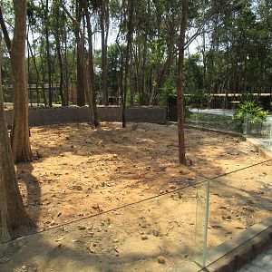 Vinpearl Safari - Malayan Porcupine Enclosure