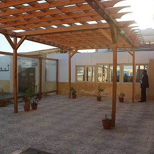 Terrace with a view, February 2016