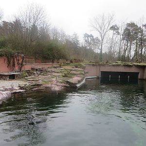 Penguin enclosure
