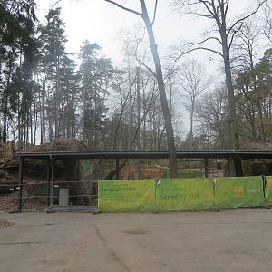 Bearded vulture aviary