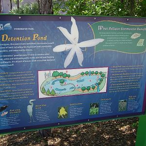 Retention Pond Display