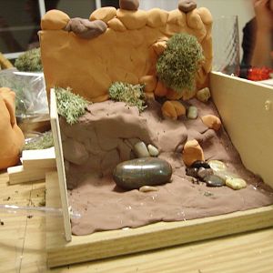 Model Construction