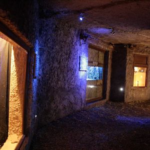 The underground world exhibit