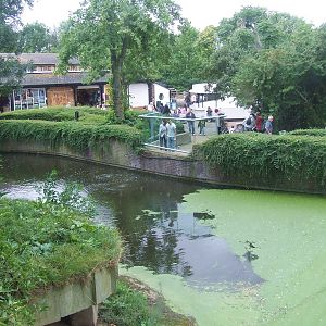 Water moat of the Asiatic Lion exhibit