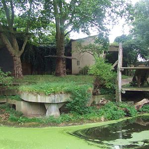 Asiatic Lion exhibit, Lion Terraces