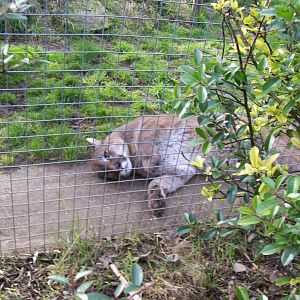 Shepreth wildlife park