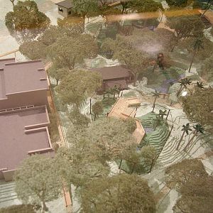 Cloud Forest Model - Amazon and Beyond