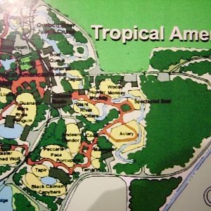 Tropical America - Masterplan
