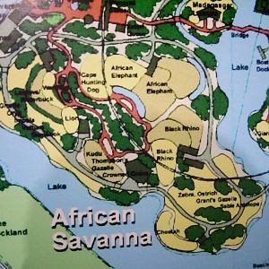 African Savanna - Masterplan