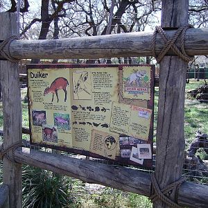 Duiker Graphics - Safari Africa