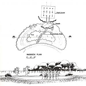 Pygmy Hippo Exhibit Design