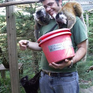 me feeding black lemurs - taking what they want