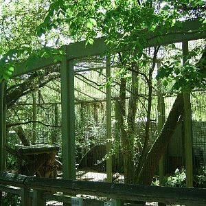 Panther/Jaguar Enclosure - Florida Wildlife Center