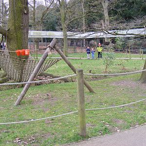 Monkey Business exhibit at Woburn Safari Park, 28 February 2009