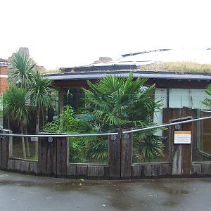 Komodo Dragon House, outdoor enclosure