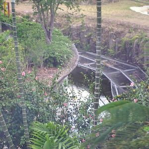 Gorilla Moat Barriers