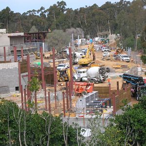 Elephant Odyssey Construction Update 3-3-09