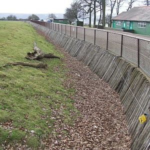 African mixed-species enclosure fencing technic