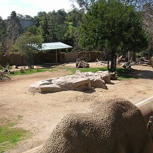 Multi Species Hoofstock Exhibit 3-4-09