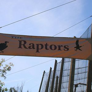 Raptor Sign 3-4-09
