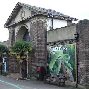 The Reptile House