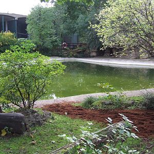Pygmy Hippo exhibit, old Sealion Pool