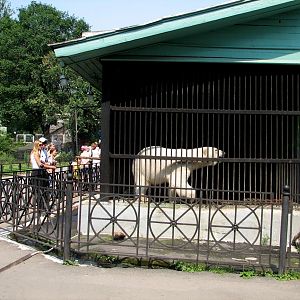 Bear cage