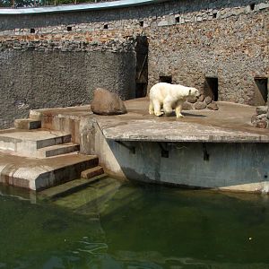 Polar bear enclosure (female)