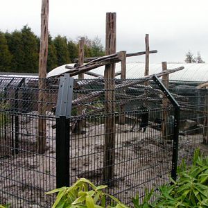 Bear enclosure, RSCC