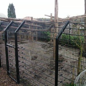 Bear enclosure, RSCC, Kent