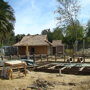 Pachyderm Forest construction