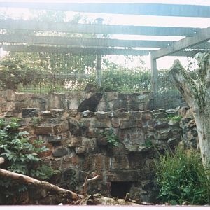 Cat House enclosure @ Chester Zoo; circa 1987