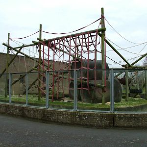 Bornean Orang-Utan exhibit at Blackpool Zoo, Feb 09