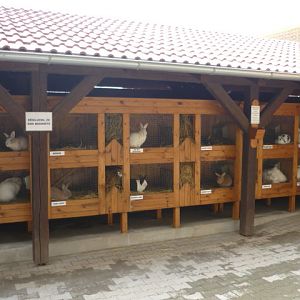 Vykov Zoo March 2009