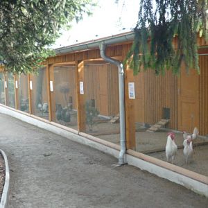 Vykov Zoo March 2009