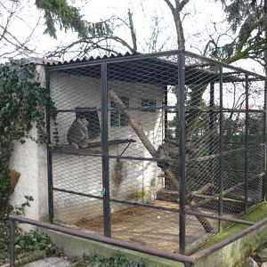 Vykov Zoo March 2009