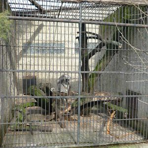 Vykov Zoo March 2009