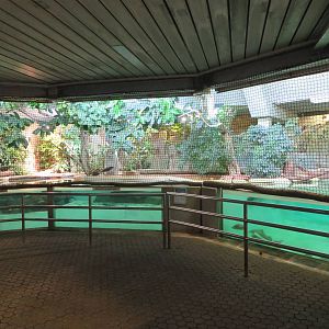 Former manati pool