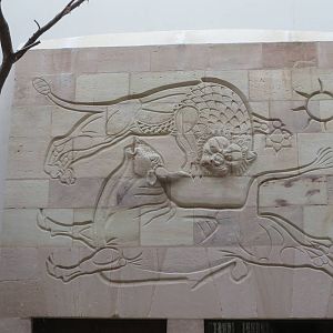 Carnivore house - wall