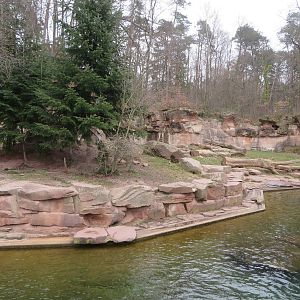 Polar bear enclosure