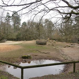 Asian antelope paddock