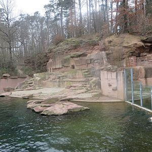 Polar bear enclosure
