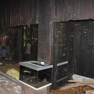 Large Constrictors terrariums